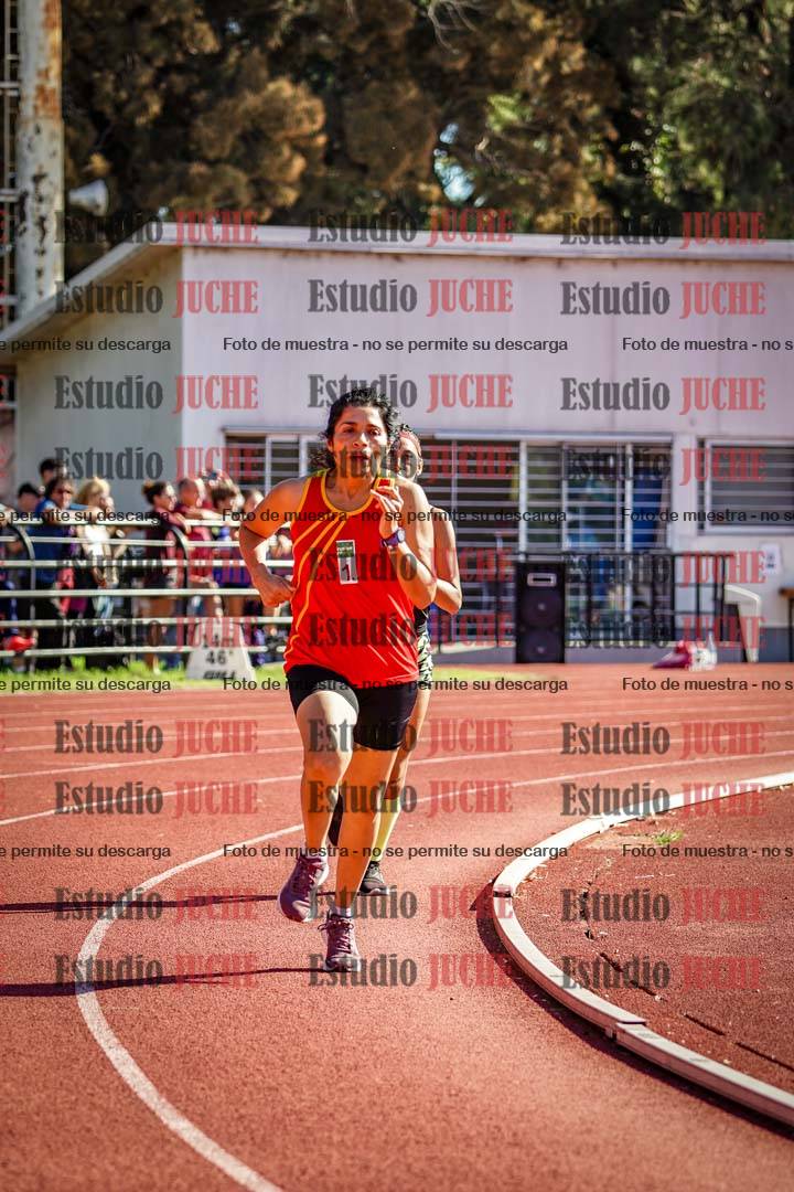 Fotos de los 800 m llanos de mujeres
