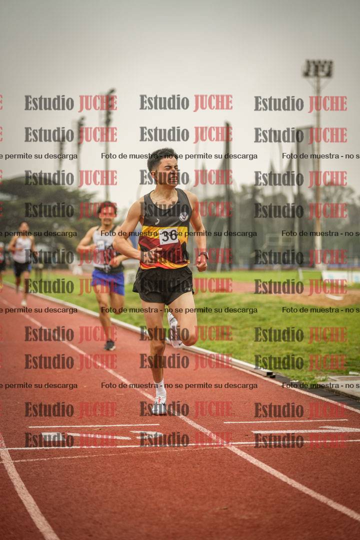 Fotos de los 800 m llanos de varones
