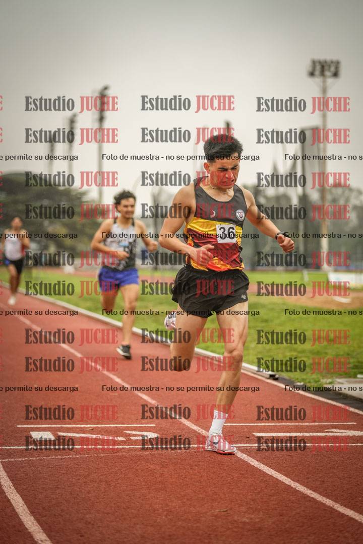 Fotos de los 800 m llanos de varones