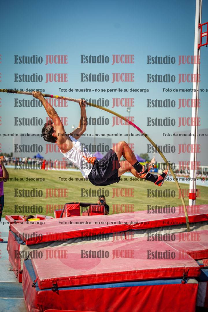 Fotos del salto con garrocha de mujeres y varones