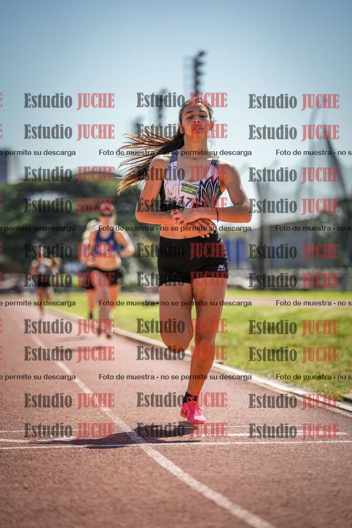 Fotos de los 800 m llanos de mujeres