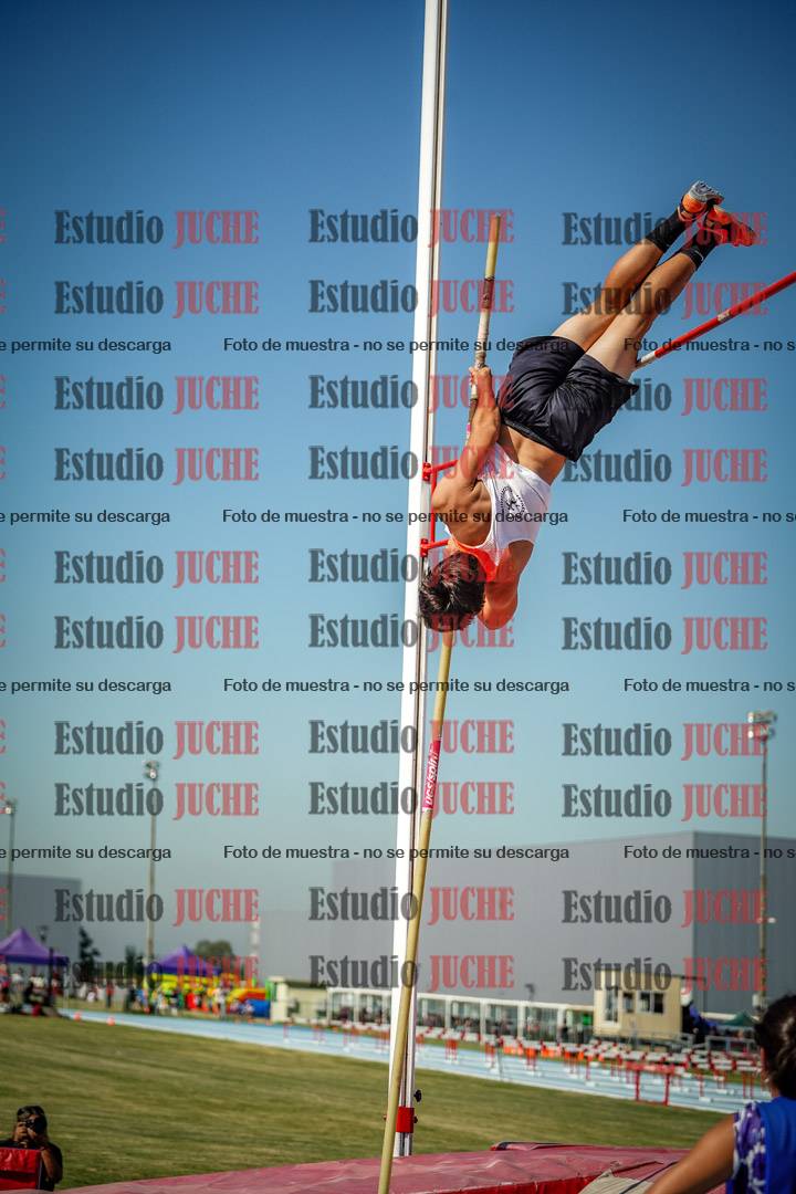 Fotos del salto con garrocha de mujeres y varones