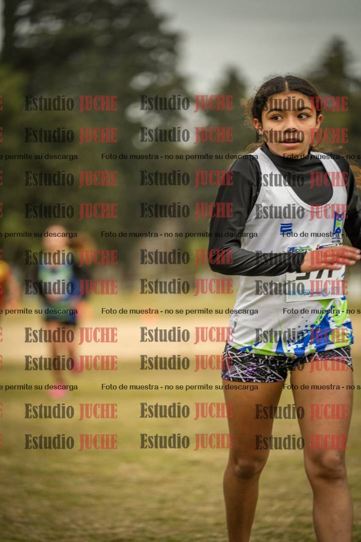 Fotos de la llegada