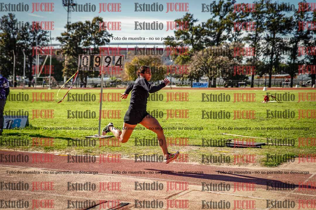 Fotos del salto triple - incluye todas las tablas