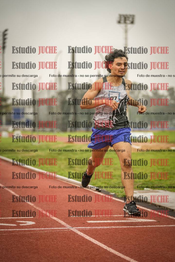 Fotos de los 800 m llanos de varones