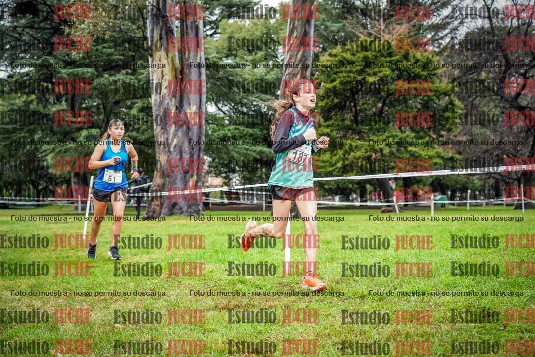 Fotos en el circuito