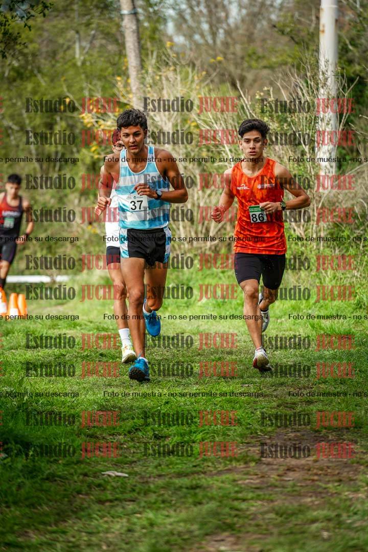 Fotos en el circuito