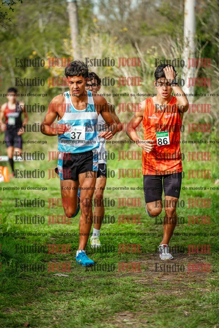 Fotos en el circuito