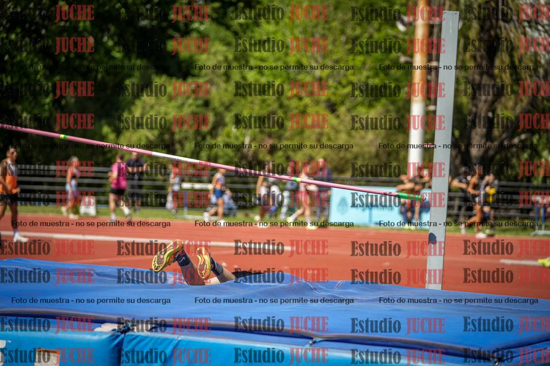 Fotos del salto en alto de varones
