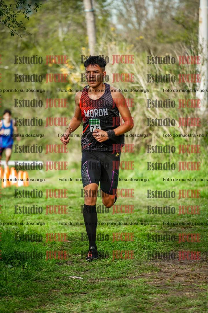 Fotos en el circuito