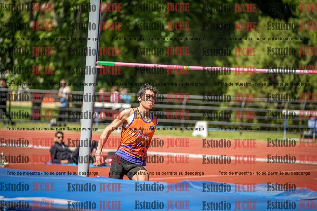 Fotos del salto en alto de varones