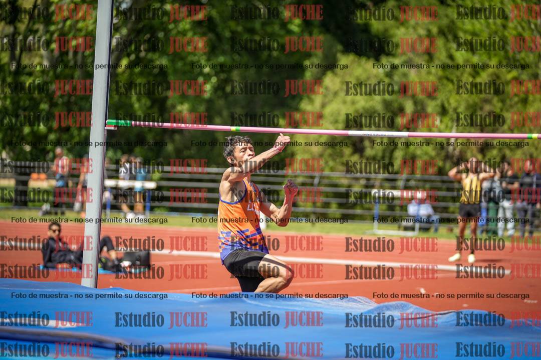 Fotos del salto en alto de varones