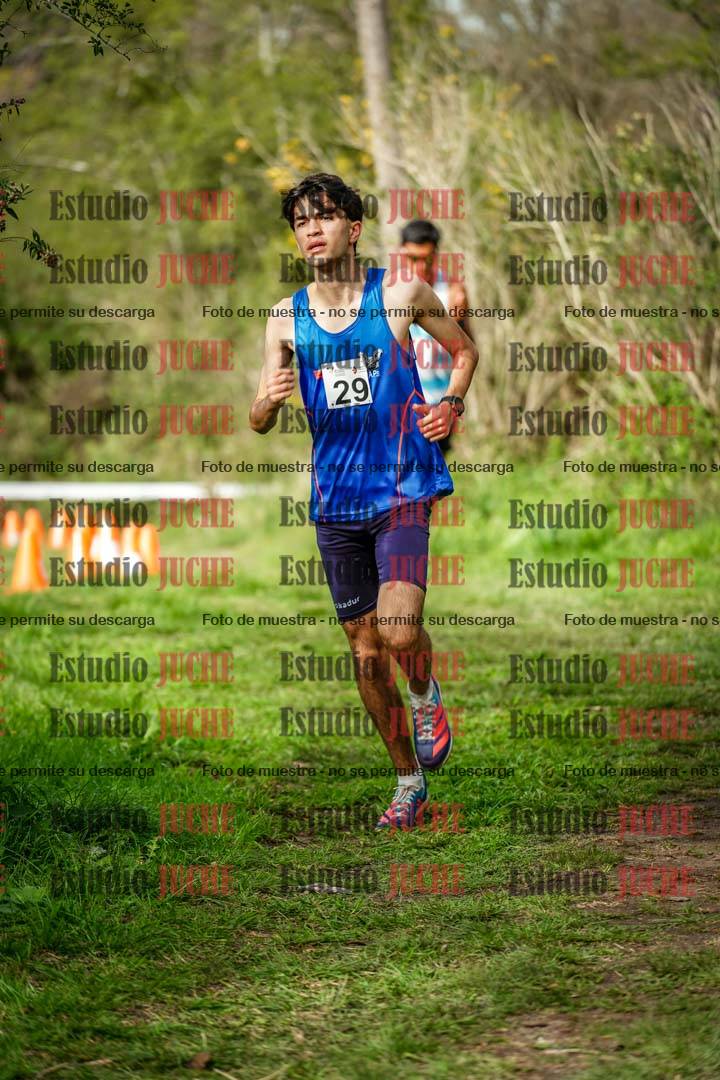 Fotos en el circuito