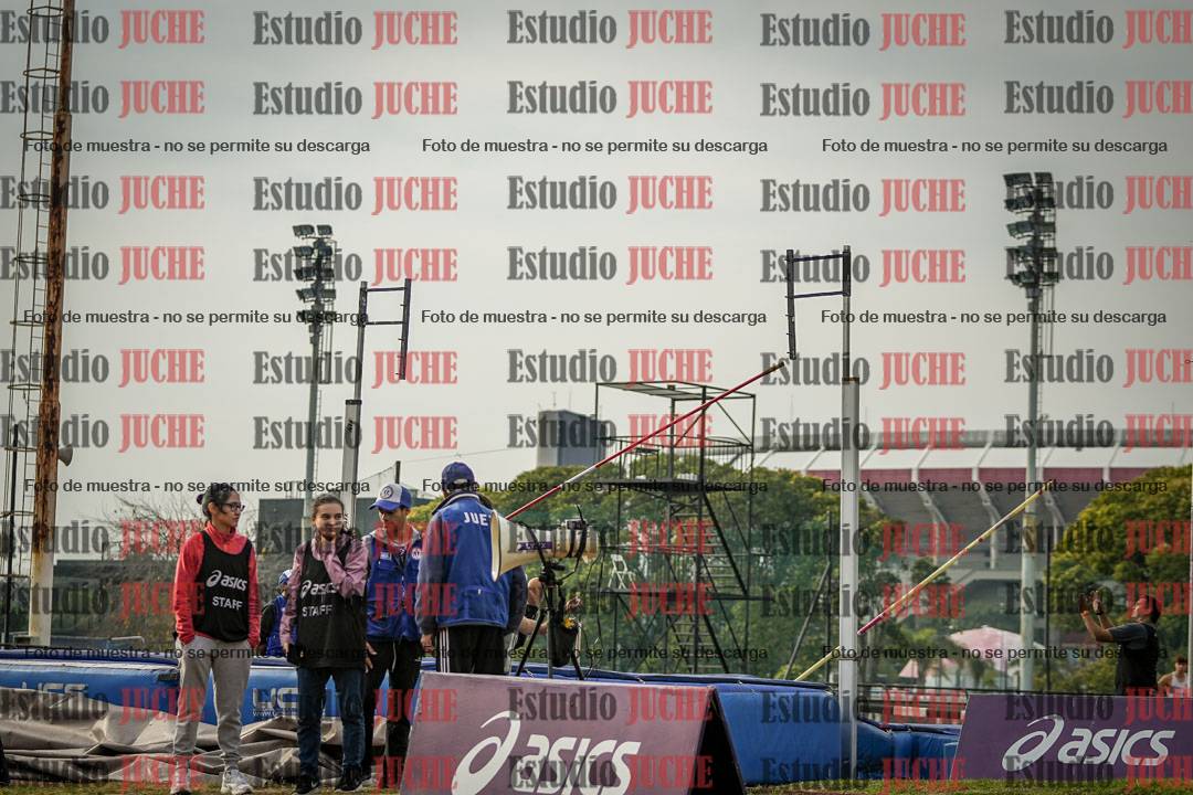 Fotos del salto con garrocha de varones