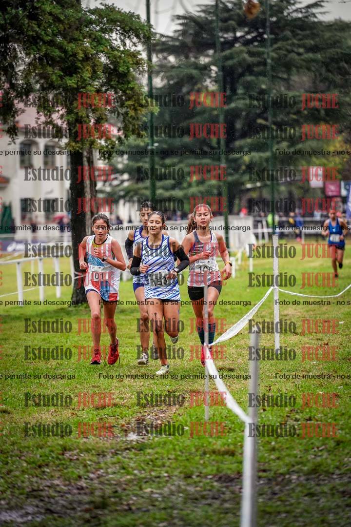 Fotos en el circuito
