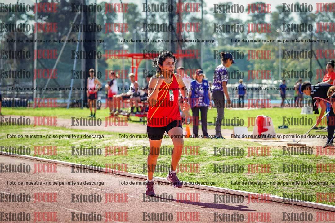 Fotos de los 800 m llanos de mujeres