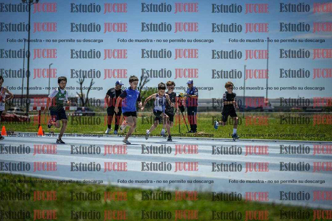 Fotos de los 50 m llanos de varones