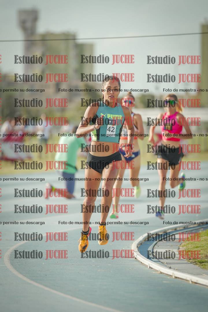 Fotos de los 800 m llanos de mujeres