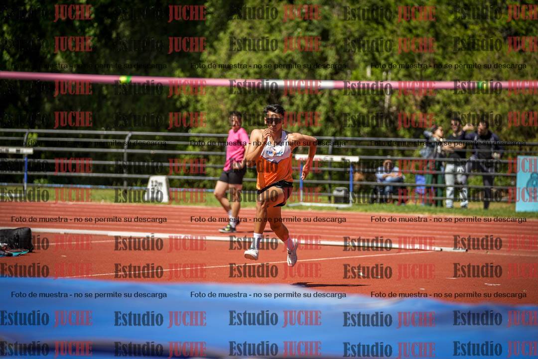 Fotos del salto en alto de varones