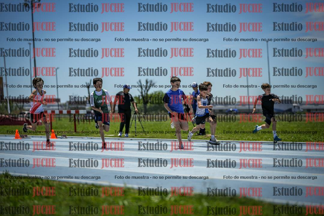 Fotos de los 50 m llanos de varones