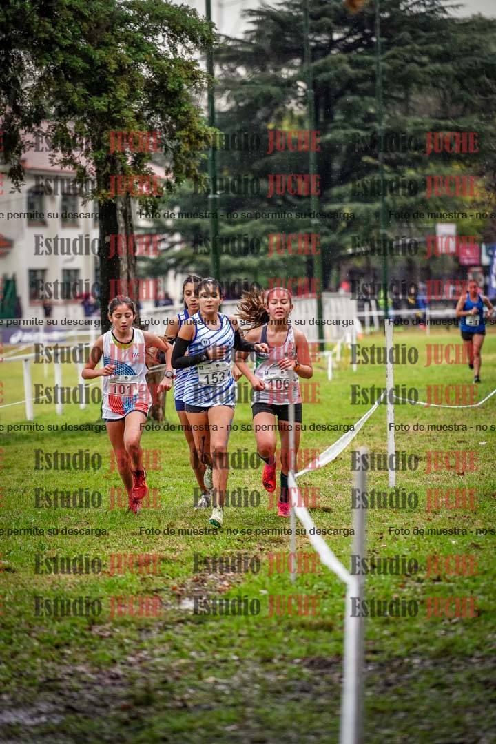 Fotos en el circuito