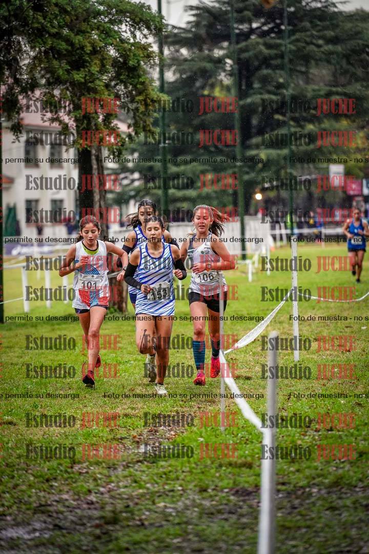 Fotos en el circuito