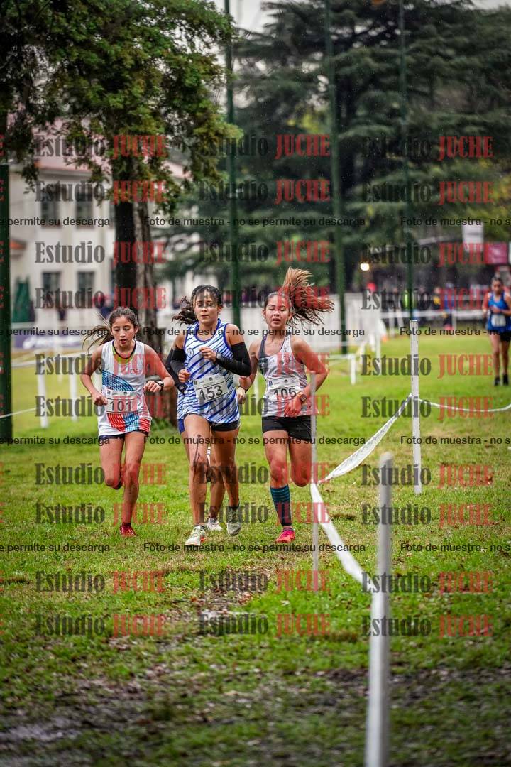 Fotos en el circuito