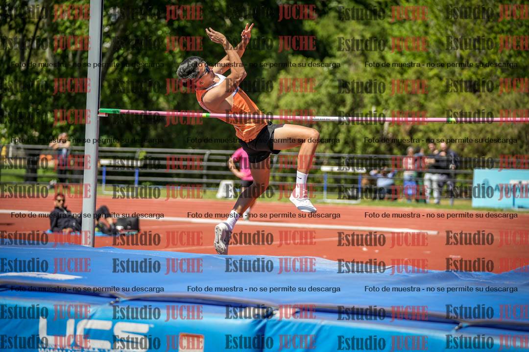 Fotos del salto en alto de varones