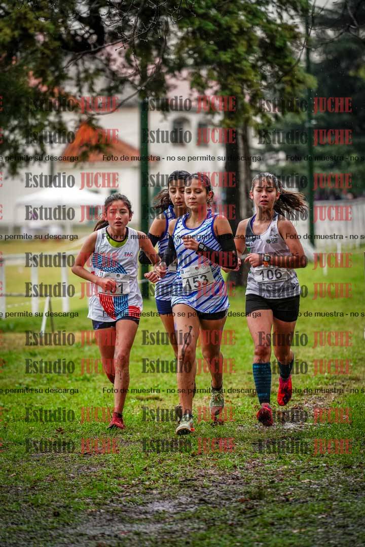 Fotos en el circuito