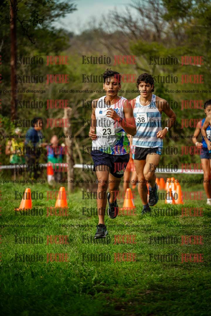 Fotos en el circuito
