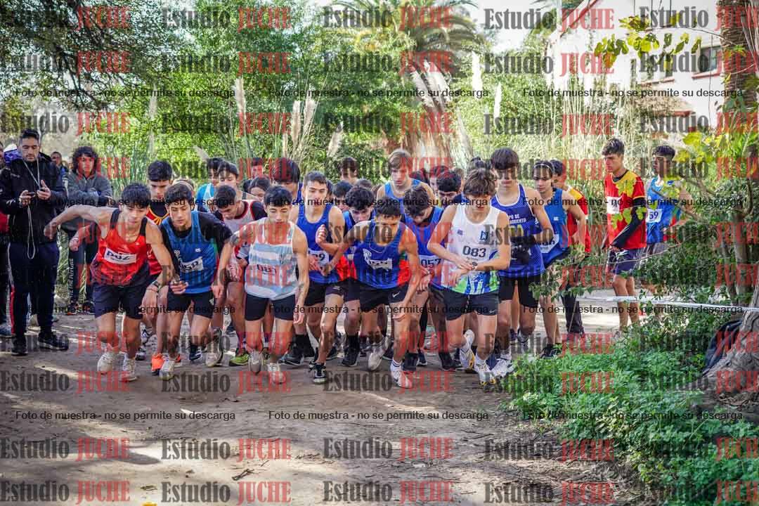 Fotos en de la largada