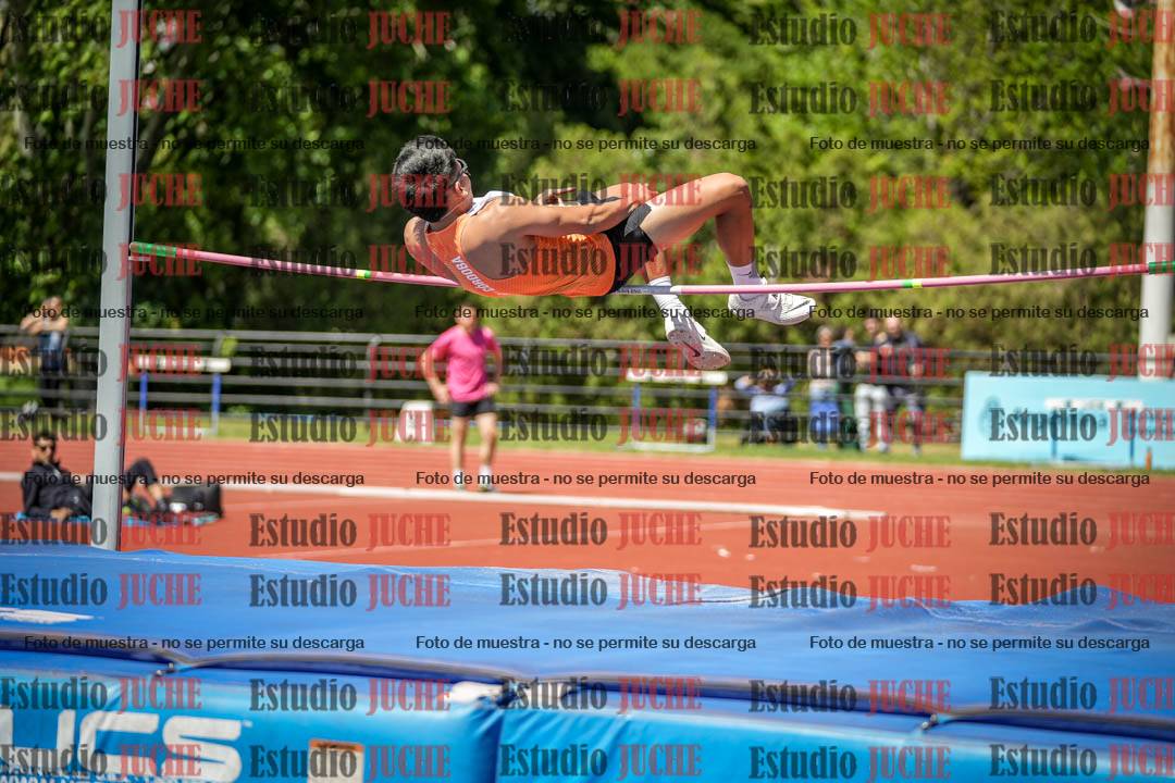 Fotos del salto en alto de varones