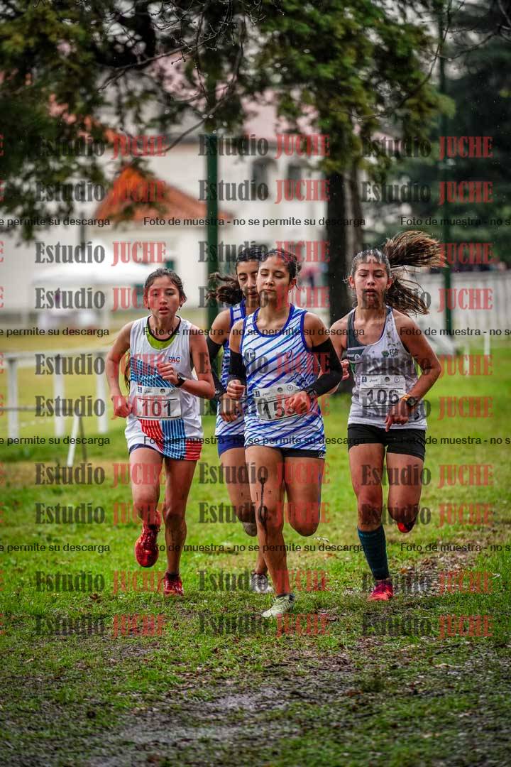 Fotos en el circuito