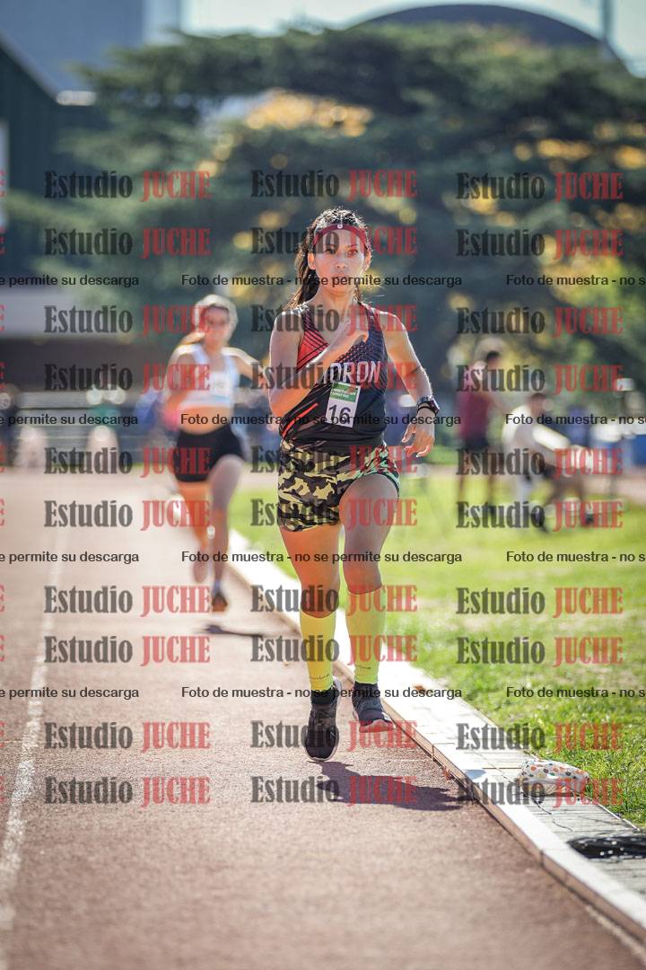 Fotos de los 800 m llanos de mujeres