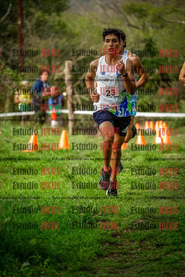 Fotos en el circuito