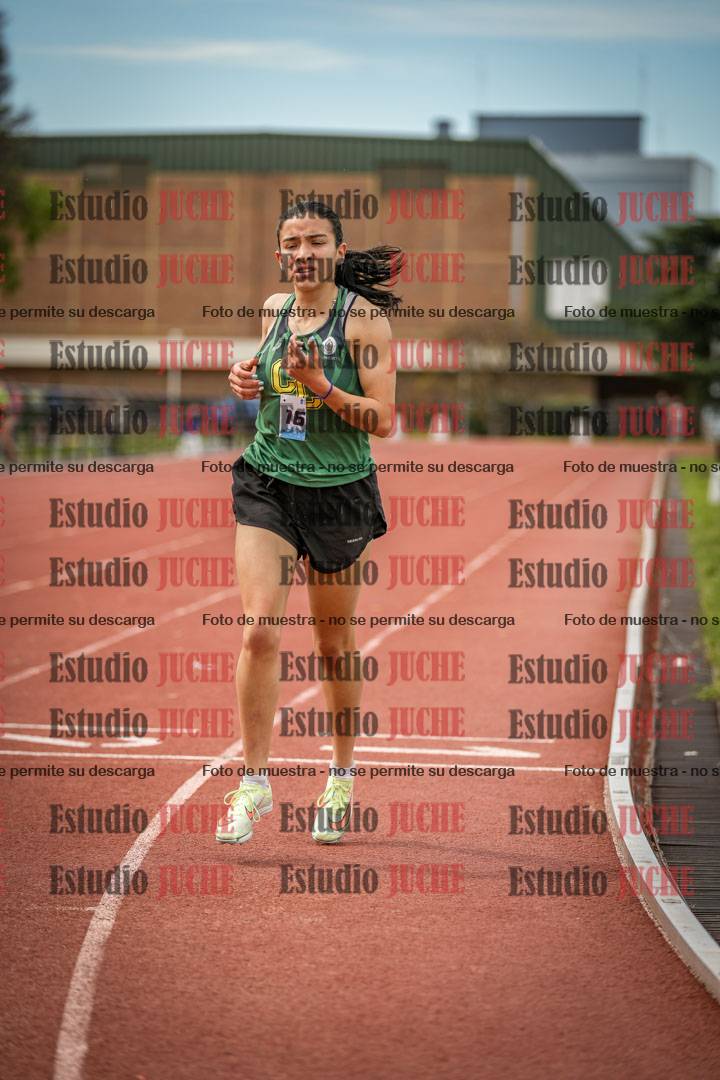 Fotos de los 1500 m llanos de mujeres