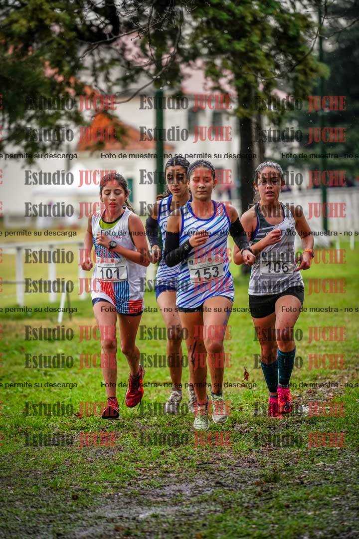 Fotos en el circuito