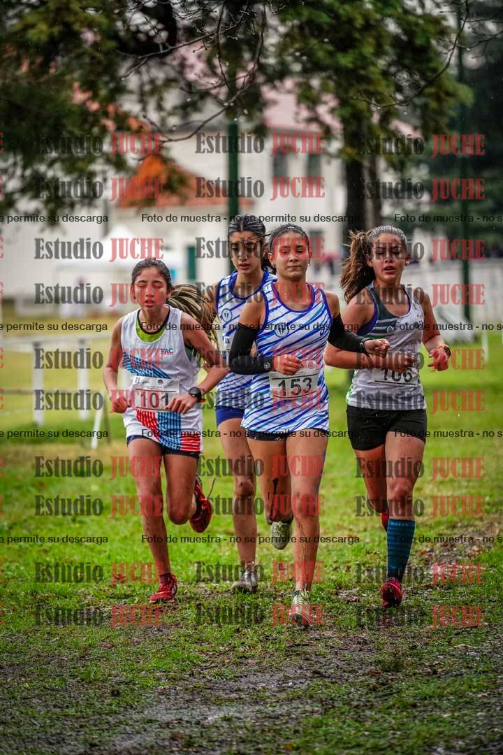 Fotos en el circuito