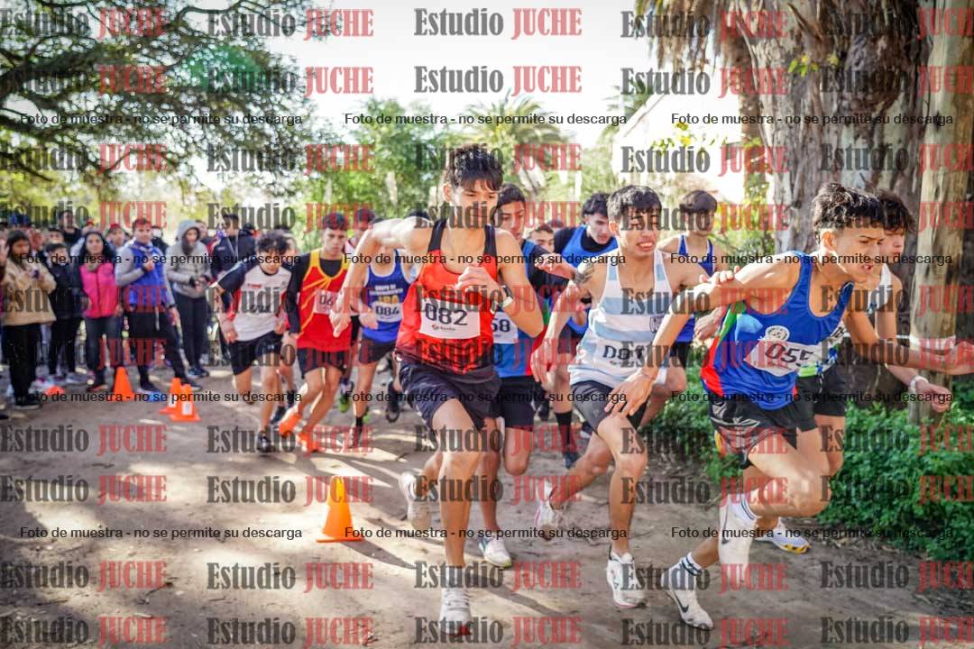 Fotos en de la largada