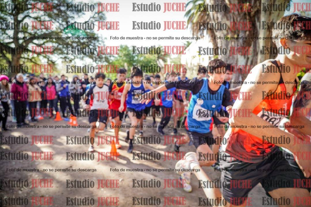 Fotos en de la largada