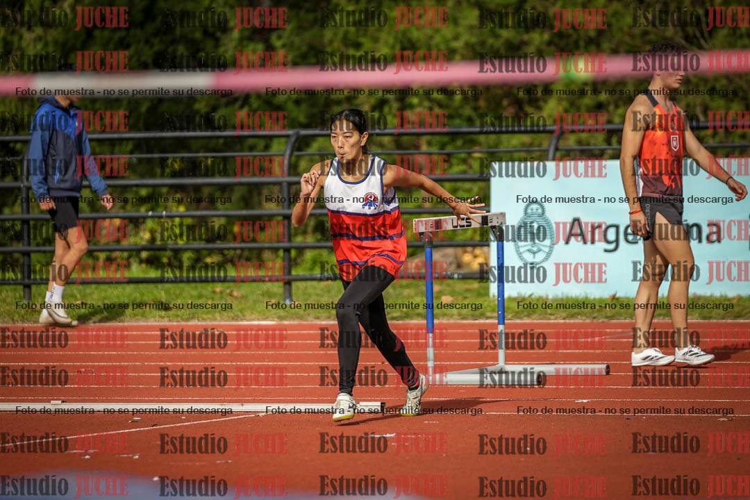 Fotos del salto en alto de mujeres