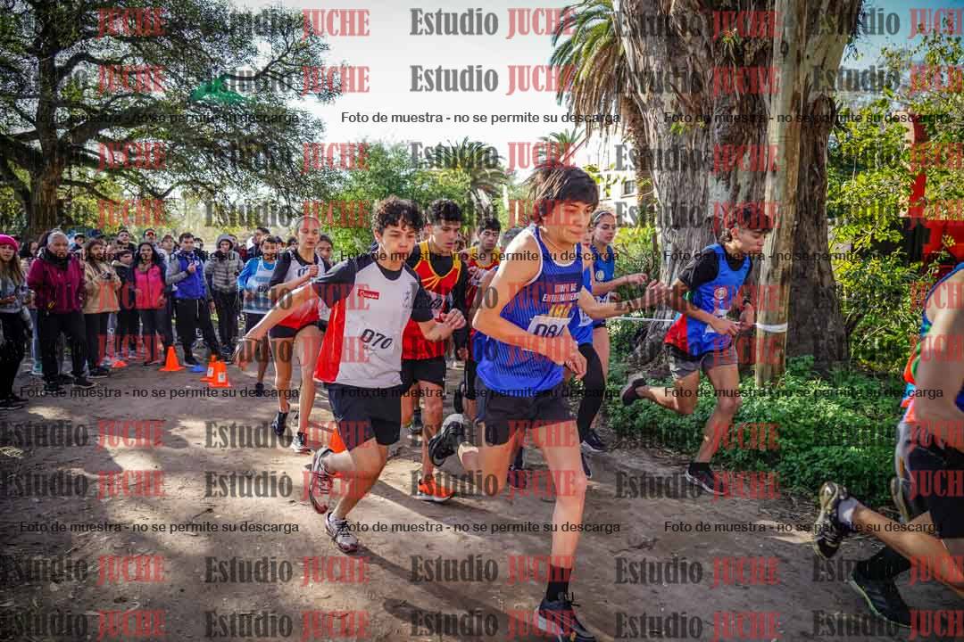 Fotos en de la largada