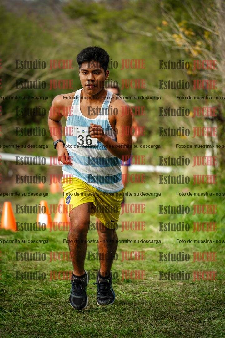 Fotos en el circuito