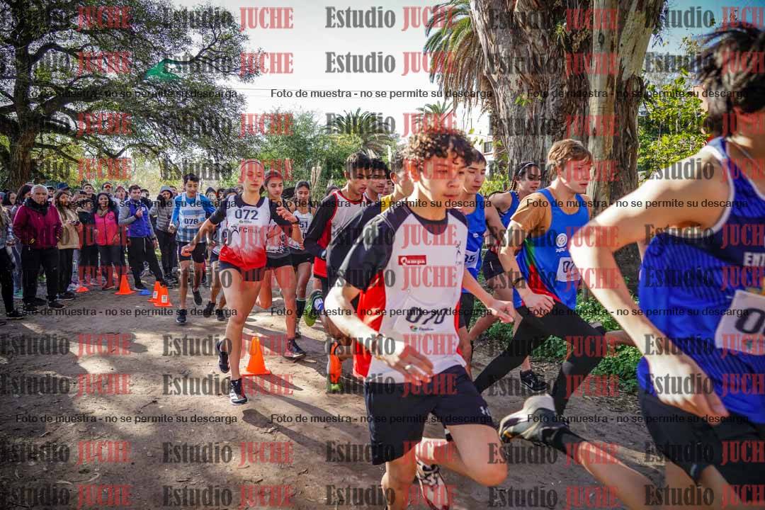 Fotos en de la largada