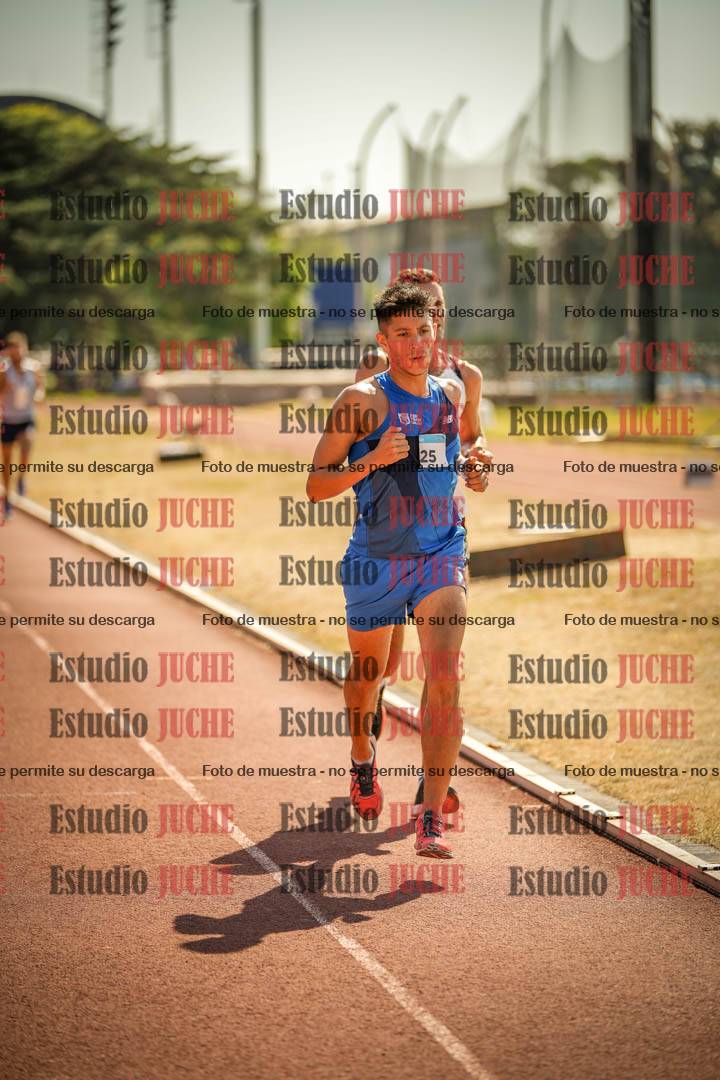 Fotos de los 3000 m llanos de varones