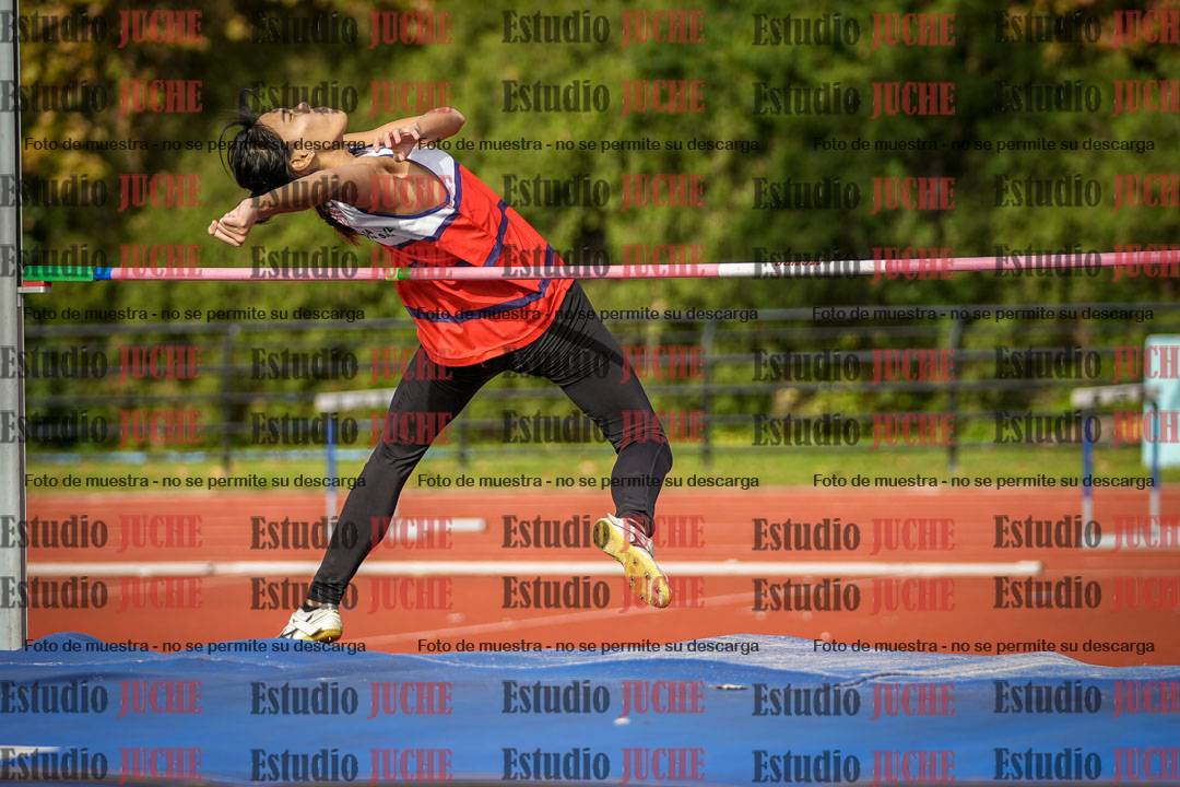 Fotos del salto en alto de mujeres
