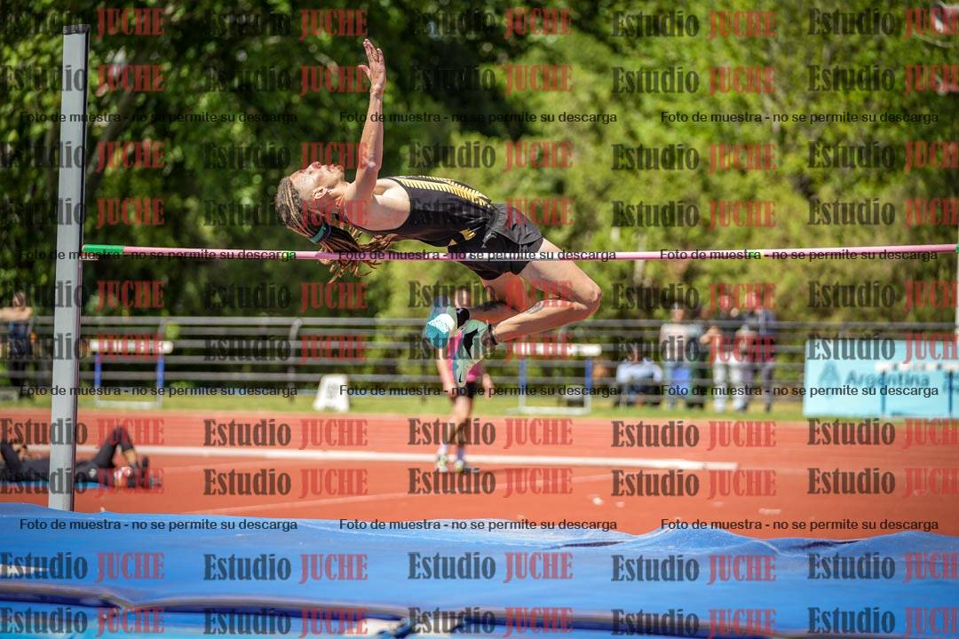 Fotos del salto en alto de varones