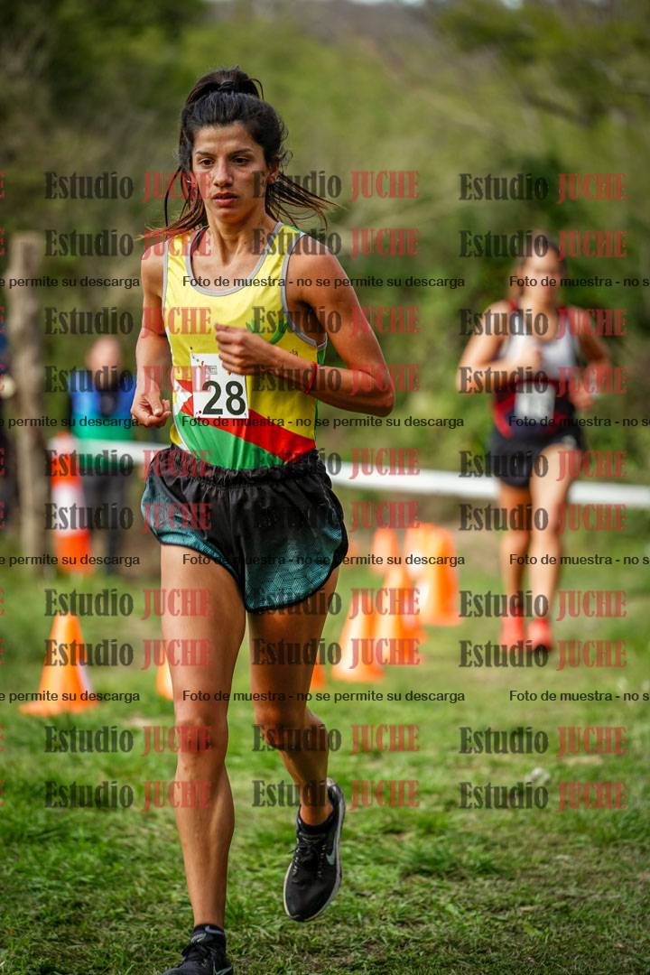 Fotos en el circuito
