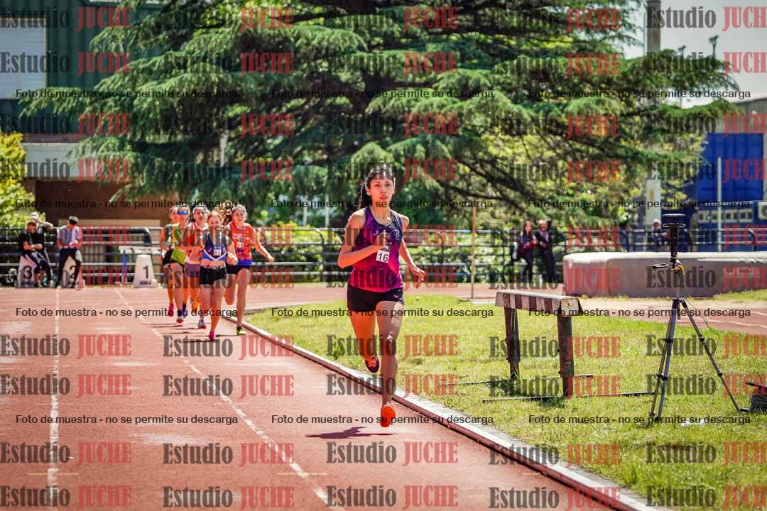 Fotos de los 800 m llanos de mujeres