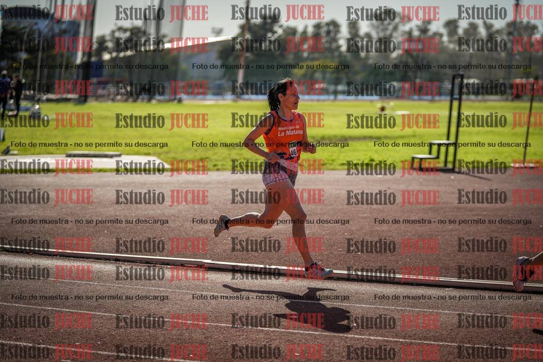 Fotos de los 800 m llanos de mujeres
